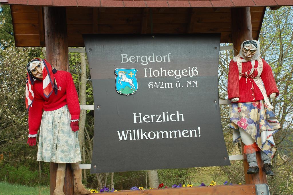 Panoramic Apartments Hohegeiß Exterior foto