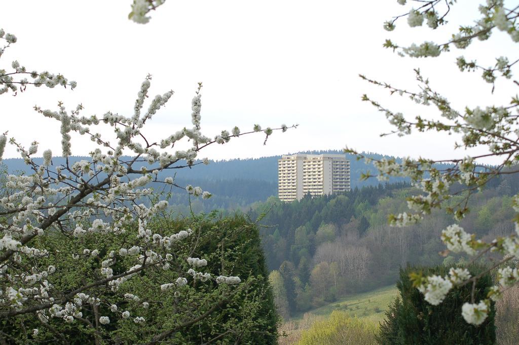 Panoramic Apartments Hohegeiß Exterior foto