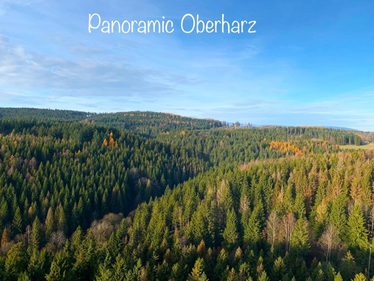 Panoramic Apartments Hohegeiß Exterior foto